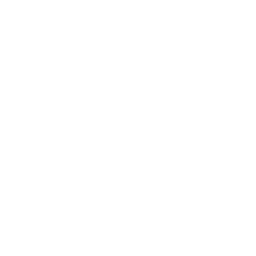 Luxa Forms Pro